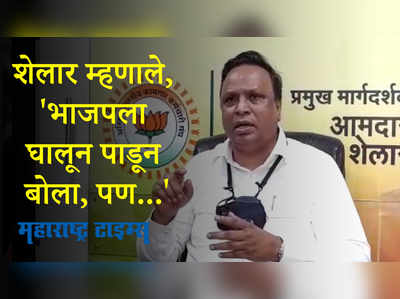 Shivsena vs BJP :  तुकडे- तुकडे गँगची भाषा मुख्यमंत्र्यांच्या तोंडी होती का ; आशिष शेलारांचा सवाल