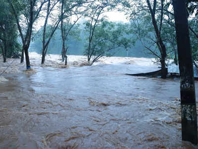 അതീവ ജാഗ്രതയിൽ കോട്ടയം; ഉരുൾപൊട്ടി! മണിമലയാറ്റിൽ കുത്തിയൊലിച്ച് വെള്ളം, വീഡിയോ കാണാം