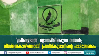 ശ്രീബുദ്ധന്‍ ധ്യാനമിരിക്കുന്ന വയല്‍;  വിസ്മയകാഴ്ചയായി പ്രസീദ് കുമാറിന്‍റെ പാടശേഖരം