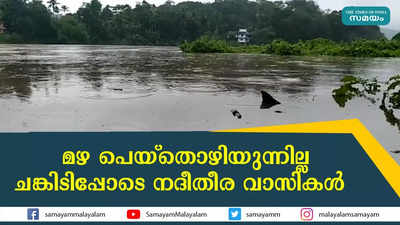 മഴ പെയ്തൊഴിയുന്നില്ല; ചങ്കിടിപ്പോടെ നദീതീര വാസികൾ