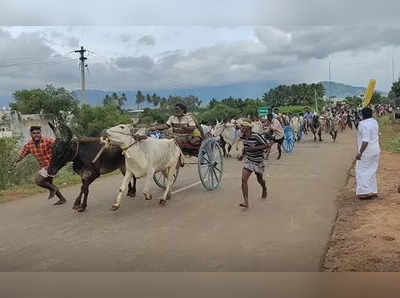 தேனி தேவர் விழா, ஸ்பெஷல் ரேக்ளா ரேசால் ஊர் மக்கள் உற்சாகம்!