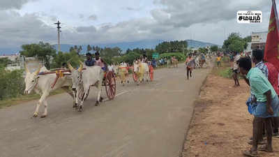 ரேக்ளா ரேஸ். சீறிப்பாய்ந்த காளைகள்!