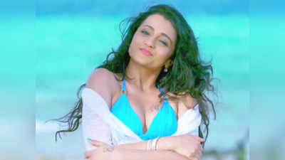 Trisha:తెలుగు వెబ్ సిరీస్‌లో త్రిష.. మూడున్నర పదులు దాటేసినా అవకాశాలు..!