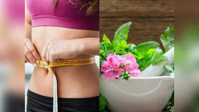 Weight Loss Easy Tips: आयुर्वेदिक डॉ. ने बताए वजन घटाने के 8 आसान नुस्खे, आजमाने पर नहीं होंगे कोई साइड इफेक्ट्स