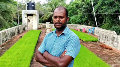 வீட்டு மொட்டை மாடியில் நெல் நாற்றங்கால்;                பொறியியல் பட்டதாரி ஓர் அசத்தல் சாதனை!