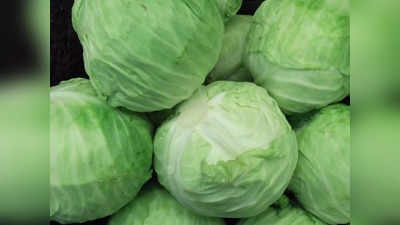 Is Cabbage safe to eat:  क्या पत्ता गोभी खाने से दिमाग को पहुंचता है नुकसान? जानें न्यूट्रिशनिस्ट की राय