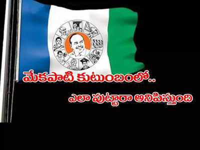 మేకపాటి కుటుంబంలో ఆయన ఎలా పుట్టారో అర్థం కావట్లే.. నెల్లూరు వైసీపీలో వర్గ విభేదాలు