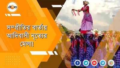 সম্প্রীতি রক্ষার বার্তা দিতে আদিবাসী নৃত্যের মেলা!