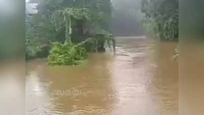 കൃഷിയിടങ്ങളിൽ വെള്ളക്കെട്ട്, അടിക്കടി വെള്ളപ്പൊക്കം; വിളകൾ അഴുകി നശിക്കുന്നു, വീഡിയോ കാണാം