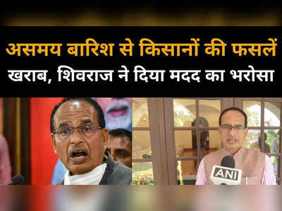 किसान भाई चिंता ना करें, मैं साथ हूं... फसलों के नुकसान पर सीएम शिवराज ने किसानों को दिया भरोसा