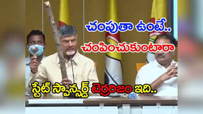 నువ్వు చంపుతా ఉంటే.. చంపించుకుంటారా?  ఇది స్టేట్ స్పాన్సర్డ్ టెర్రరిజం.. చంద్రబాబు ఆగ్రహం