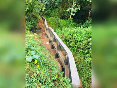 ಆನೆ ತಡೆಗೆ ಕಂದಕದ ಬದಲು ಕಾಂಕ್ರೀಟ್‌ ಬೇಲಿ..! ಹೊಸ ವಿಧಾನಕ್ಕೆ ಮೊರೆ ಹೋದ ಅರಣ್ಯ ಇಲಾಖೆ..!