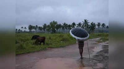 മഴമുന്നറിയിപ്പിൽ വീണ്ടും മാറ്റം; ഇന്ന് ഒരിടത്തും ഓറഞ്ച് അലര്‍ട്ടില്ല