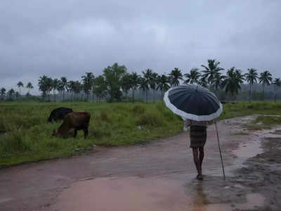 മഴമുന്നറിയിപ്പിൽ വീണ്ടും മാറ്റം; ഇന്ന് ഒരിടത്തും ഓറഞ്ച് അലര്‍ട്ടില്ല