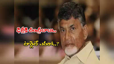 ఢిల్లీకి చంద్రబాబు.. టార్గెట్ ఎవరంటే..?