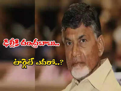 ఢిల్లీకి చంద్రబాబు.. టార్గెట్ ఎవరంటే..?