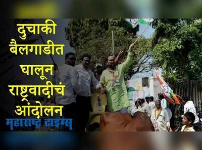 Latur : इंधन दरवाढी विरोधात राष्ट्रवादी आक्रमक, लातूरमध्ये निषेध मोर्चा