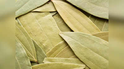 Bay Leaf: പാചകത്തിന് മാത്രമല്ല, ആരോഗ്യത്തിനും വേണം വഴനയില