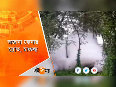 অজানা ফেনার স্রোতে আতঙ্ক!