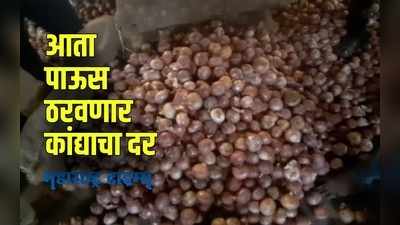 Solapur : यंदाच्या पावसानं बिघडलं कांदा उत्पादक शेतक-याचं अर्थकारण