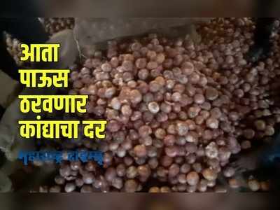 Solapur : यंदाच्या पावसानं बिघडलं कांदा उत्पादक शेतक-याचं अर्थकारण
