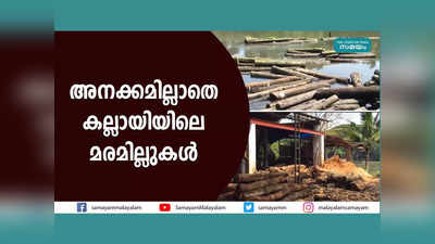 അനക്കമില്ലാതെ കല്ലായിയിലെ മരമില്ലുകൾ, വീഡിയോ കാണാം