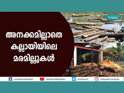 അനക്കമില്ലാതെ കല്ലായിയിലെ മരമില്ലുകൾ, വീഡിയോ കാണാം