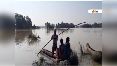 পরপর পাঁচবার! ফের শিলাবতীর জলে প্লাবিত ঘাটাল