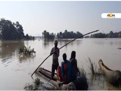 পরপর পাঁচবার! ফের শিলাবতীর জলে প্লাবিত ঘাটাল