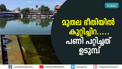 മുതല ഭീതിയിൽ കുറ്റിച്ചിറ.....പണി പറ്റിച്ചത് ഉടുമ്പ്