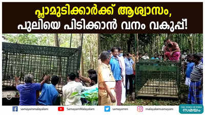 പ്ലാമുടിക്കാർക്ക് ആശ്വാസം, പുലിയെ പിടിക്കാൻ വനം വകുപ്പ്!