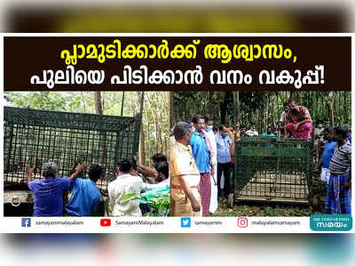 പ്ലാമുടിക്കാർക്ക് ആശ്വാസം, പുലിയെ പിടിക്കാൻ വനം വകുപ്പ്!