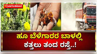 ಬಾದಾಮಿಯ ಹೂ ಬೆಳೆಗಾರರಿಗೆ ಕಂಟಕವಾದ ಅರ್ಧಕ್ಕೆ ನಿಂತ ರಸ್ತೆ ಕಾಮಗಾರಿ..!