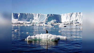 Arctic Sea Ice: क्यों जरूरी है आर्कटिक की समुद्री बर्फ? जानें पृथ्‍वी पर क्‍या डालती है असर