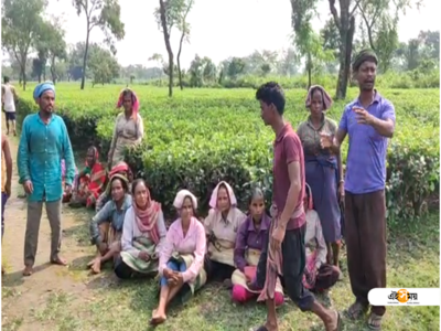 চোপড়ায় চা-বাগান বিক্রির চেষ্টা, প্রতিবাদে বিক্ষোভ শ্রমিকদের