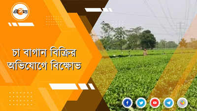 চা বাগান বিক্রির অভিযোগ, প্রতিবাদ শ্রমিকদের