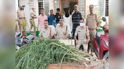 Ganja: జగిత్యాలలో కలకలం.. ఓ నిందితుడు ఇచ్చిన సమాచారంతో పోలీసుల దాడులు