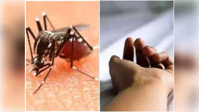 Dengue in Agra: आगरा में डेंगू, बुखार से 3 और मौतें, 27 नए मरीज मिले