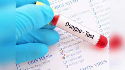 Dengue Diet Plan: ডেঙ্গির ভয়? রক্তে প্লেটলেট বাড়াতে ডায়েটে রাখুন এই সব খাবার