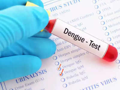 Dengue Diet Plan: ডেঙ্গির ভয়? রক্তে প্লেটলেট বাড়াতে ডায়েটে রাখুন এই সব খাবার