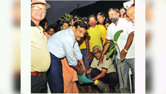 वृक्षसंवर्धनासह पाण्याची बचत करा