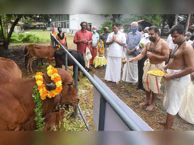 ಬಲಿಪಾಡ್ಯಮಿ ದಿನ ದೇವಸ್ಥಾನಗಳಲ್ಲಿ ಗೋಪೂಜೆ ಕಡ್ಡಾಯ! ಮುಜರಾಯಿ ಇಲಾಖೆ ಆದೇಶ!