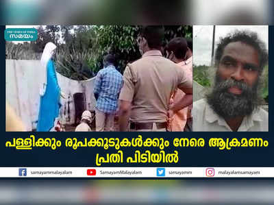 പള്ളിക്കും രൂപക്കൂടുകൾക്കും നേരെ ആക്രമണം; പ്രതി പിടിയിൽ