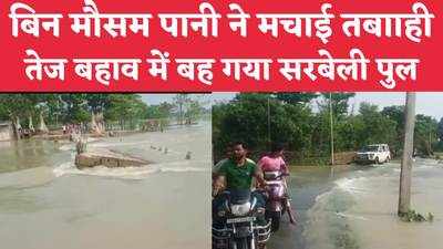 Bihar News : देखते ही देखते आंखों के सामने बह गया पुल, पूर्णिया के अमौर में पानी से तबाही