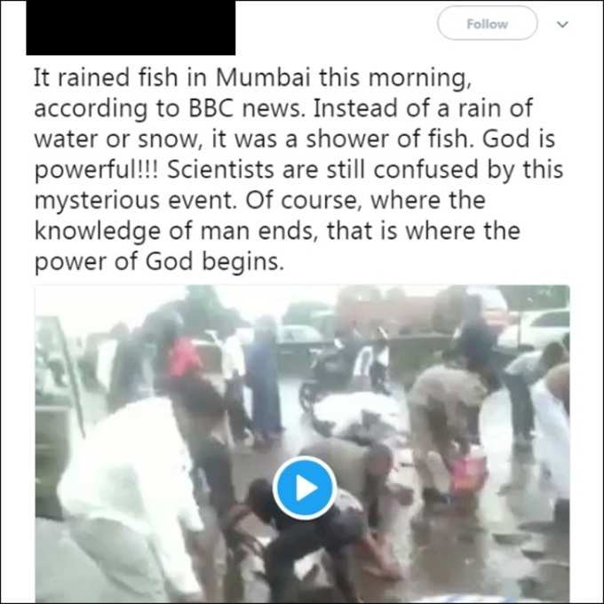 Fake Video Busted Truth Behind Viral News Claiming Fish Rain In Mumbai News in Hindi