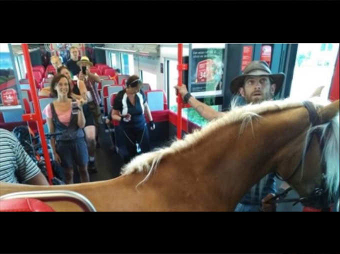 Photos of Man Board Train With Horse Goes Viral News in Hindi