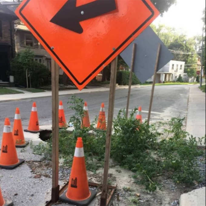 Canada Residents Developed Neglected Pothole To Tomato Garden Pictures Goes Viral News in Hindi