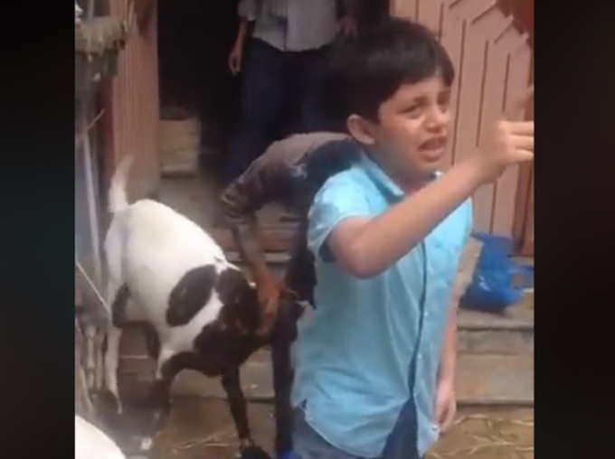 Viral Video Goat was Being Sacrificed on Bakrid We Should Learn Something From This Child News in Hindi