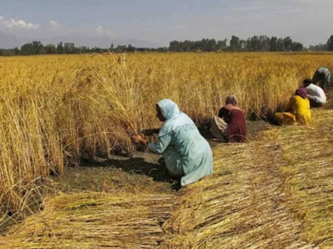 असल काम तो किसानों ने किया है