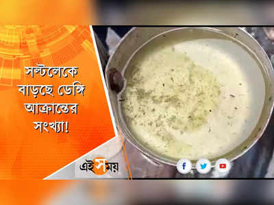 করুণাময়ী বাসস্ট্যান্ডে মিলল মশার লার্ভা